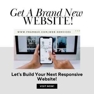 🎁 Enterprise Plus Website